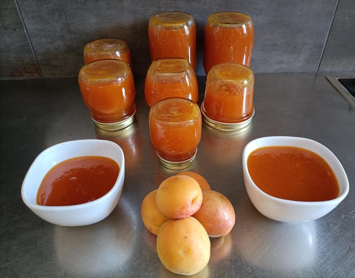 Bb Letterario Bed and Breakfast Ραβένα Εξωτερικό φωτογραφία