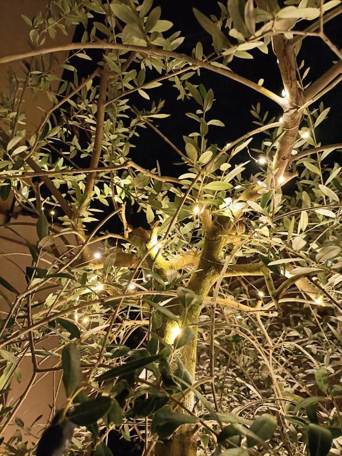 Bb Letterario Bed and Breakfast Ραβένα Εξωτερικό φωτογραφία